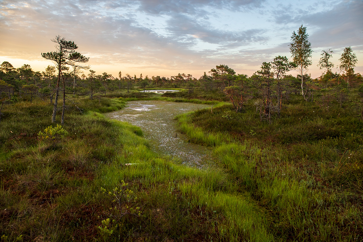Зеленый ключ