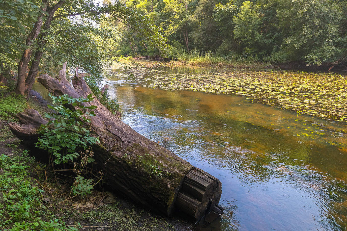 Тихое местечко