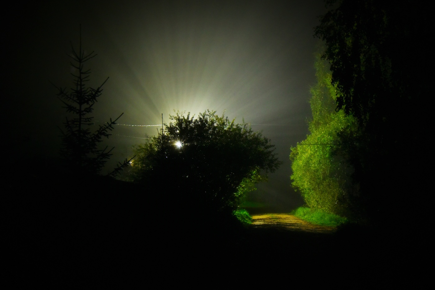 "Ночь крадется словно кошка ..."