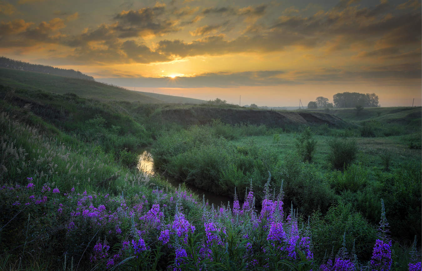 Мелодия рассвета..
