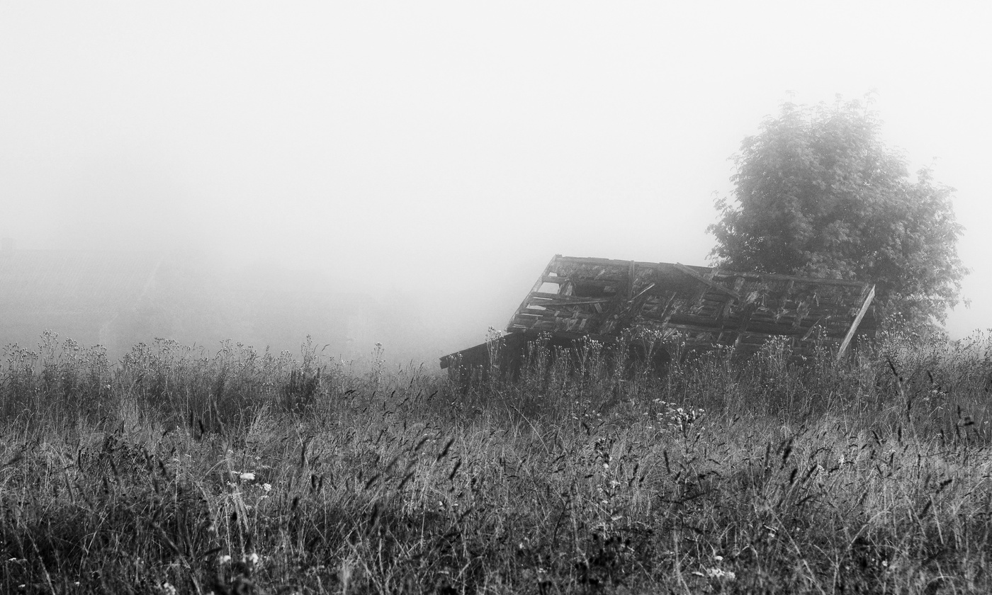 "Безлюдье - здешней тишины основа ..."