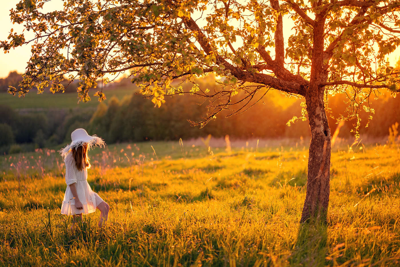 Перпендикулярно Солнцу