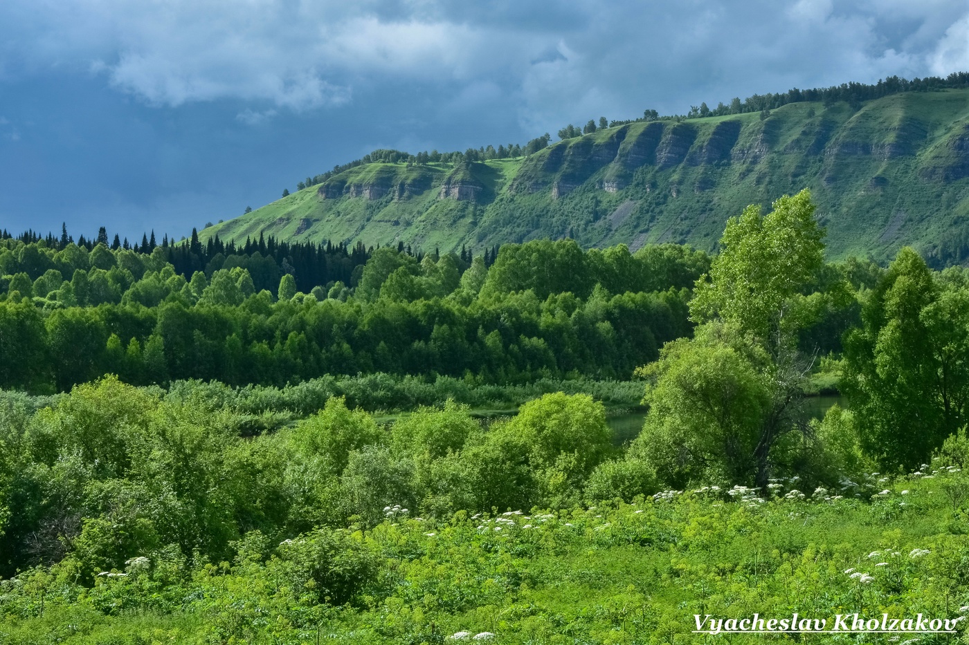 В июле после дождя