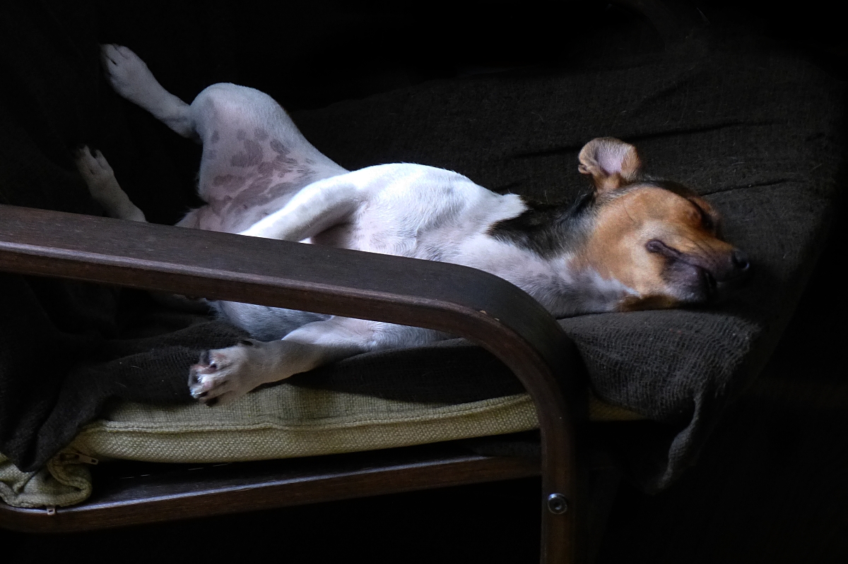 сны о чем-то лучшем