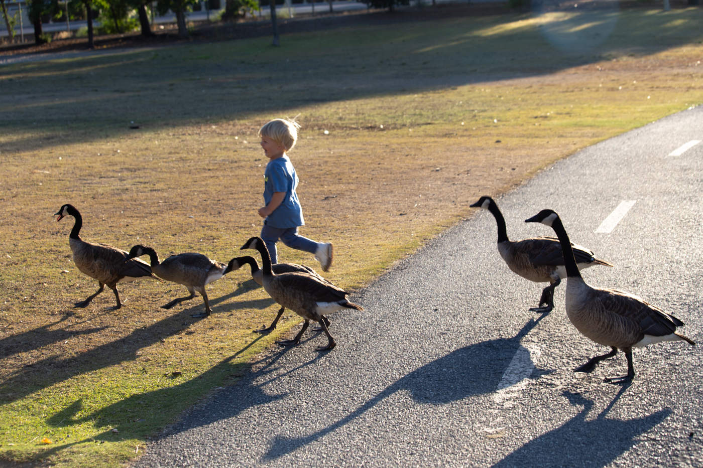 Наперегонки