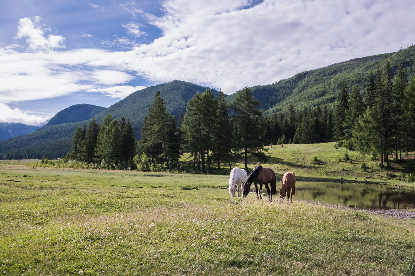 Утренняя идиллия