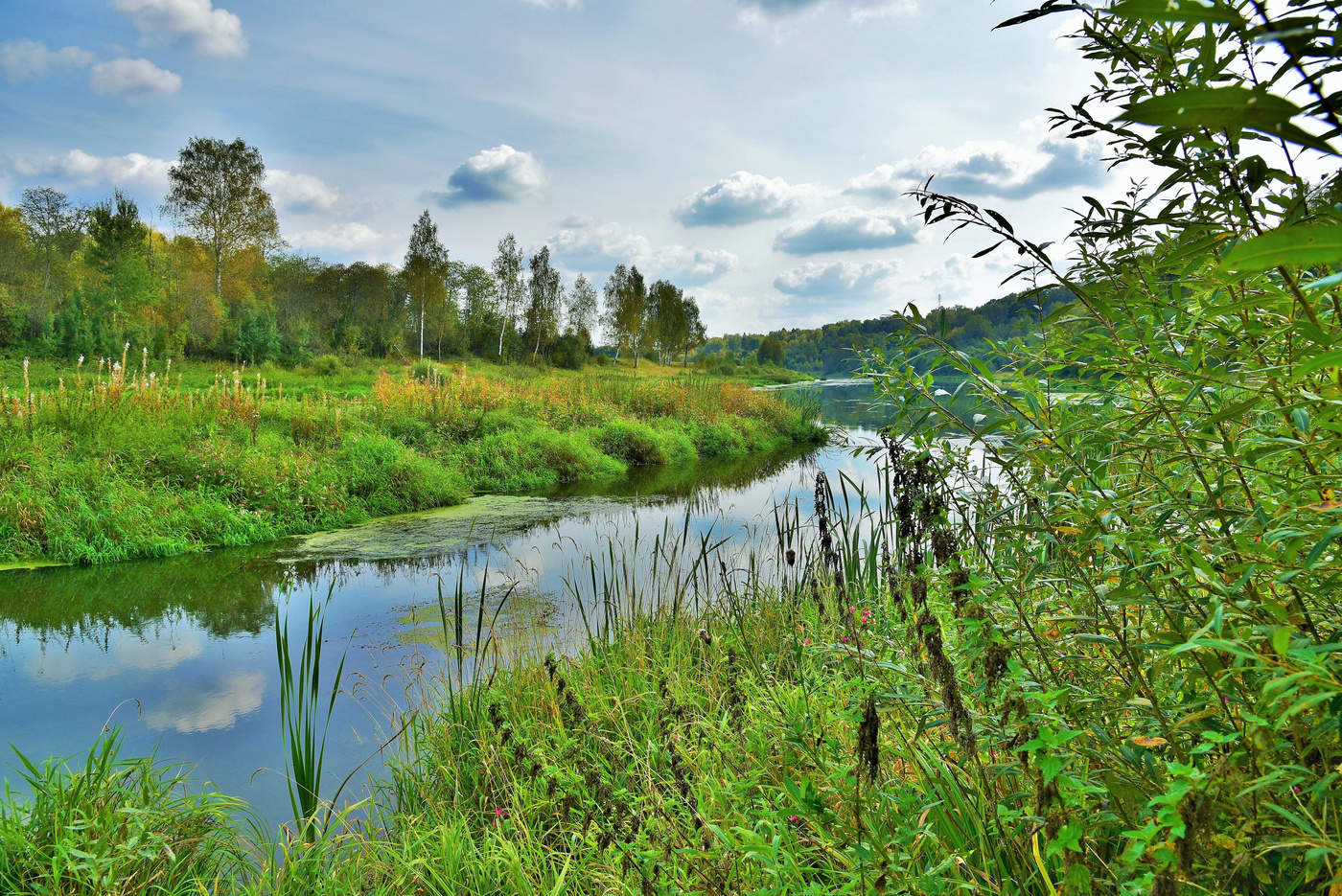 "Осень пришла, я не звал, но ждал тебя, осень..."