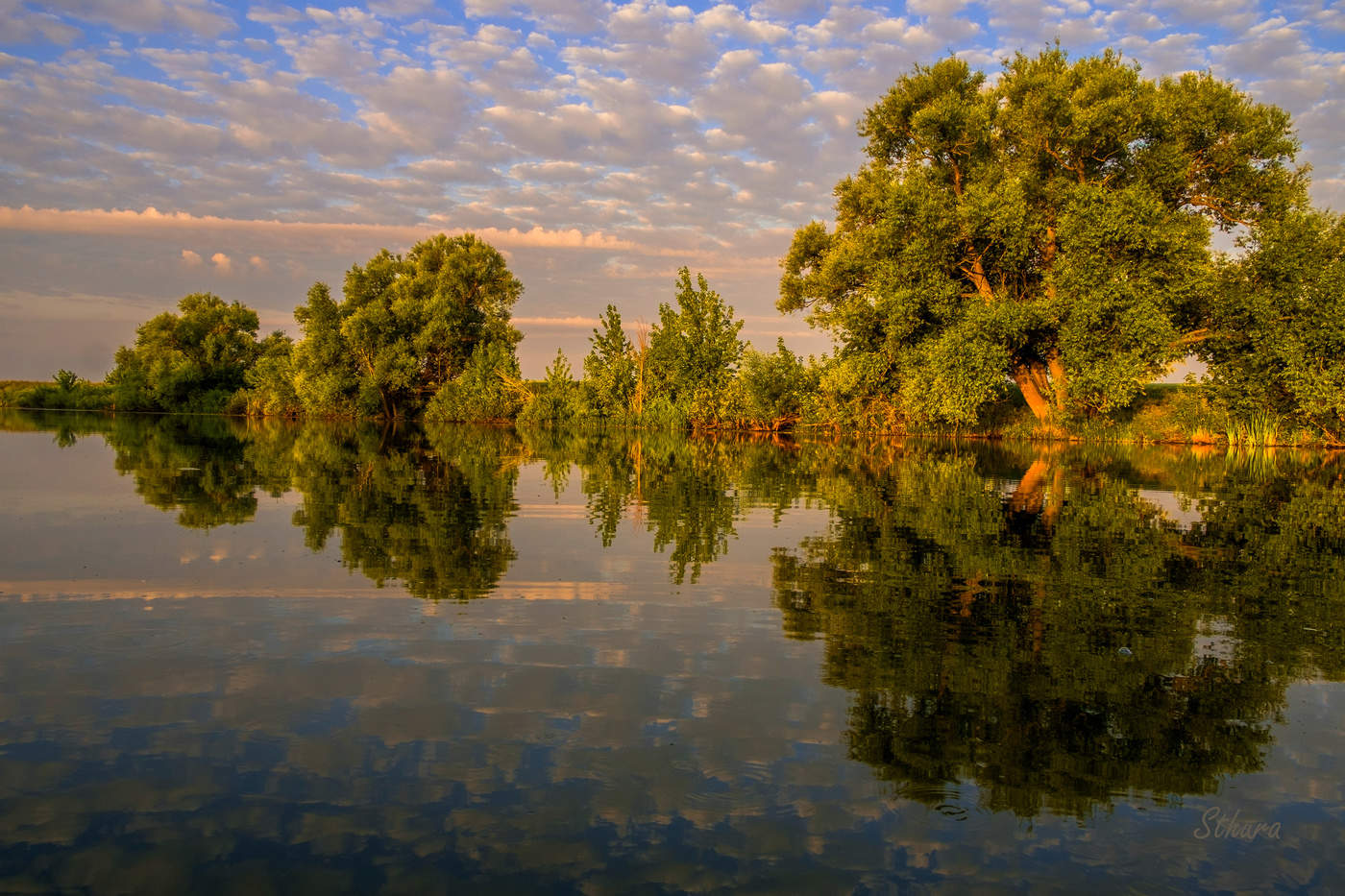 Пейзаж. Студёное.