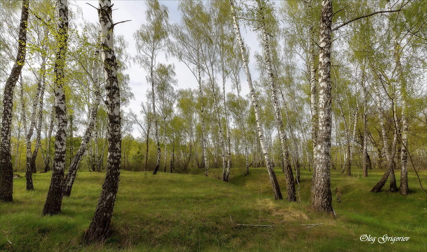 Молодая Весна.