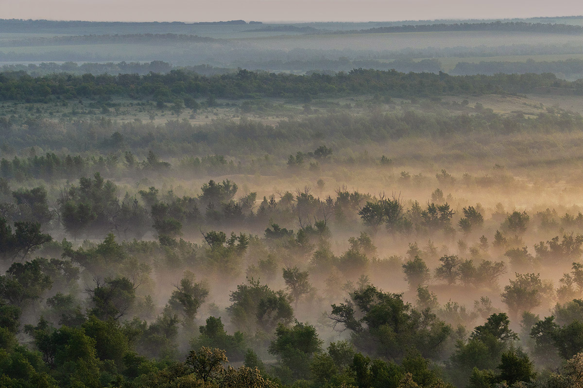 На рассвете за рекой