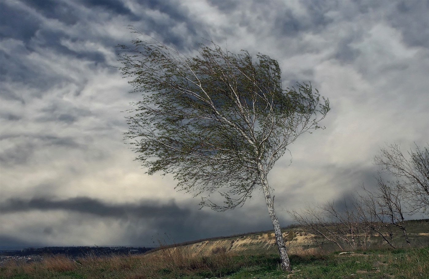Противостояние надвигающейся буре.