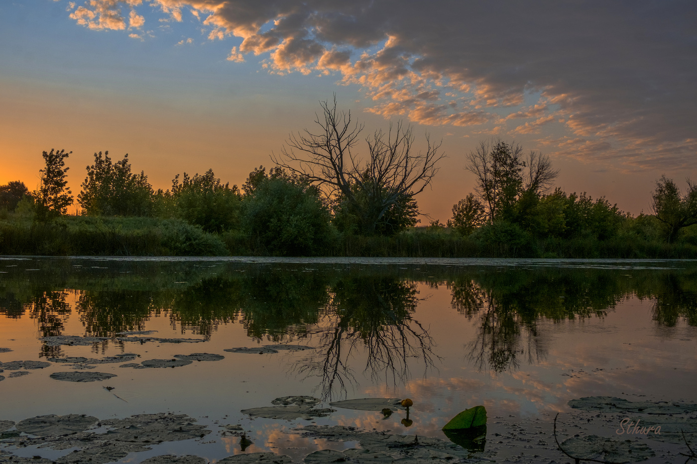 Студёное на рассвете.