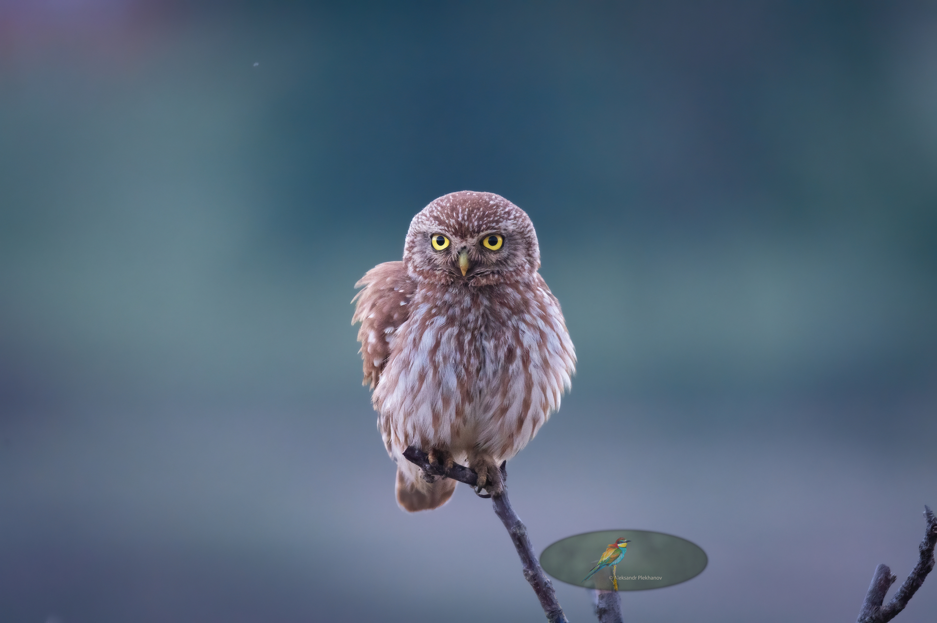 Доброй охоты