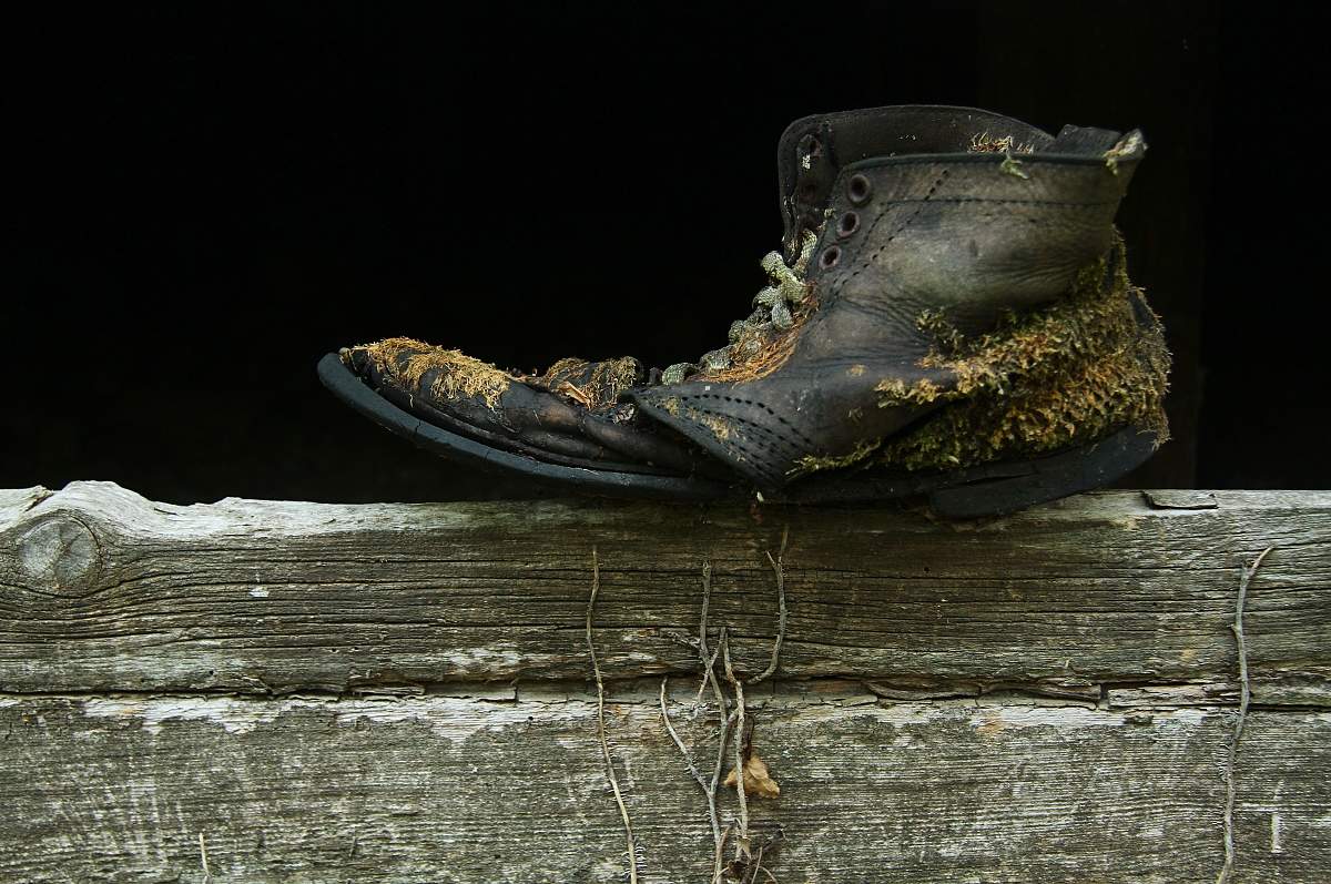 старый приятель