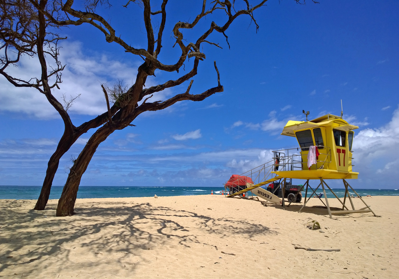 Жаркий полдень...