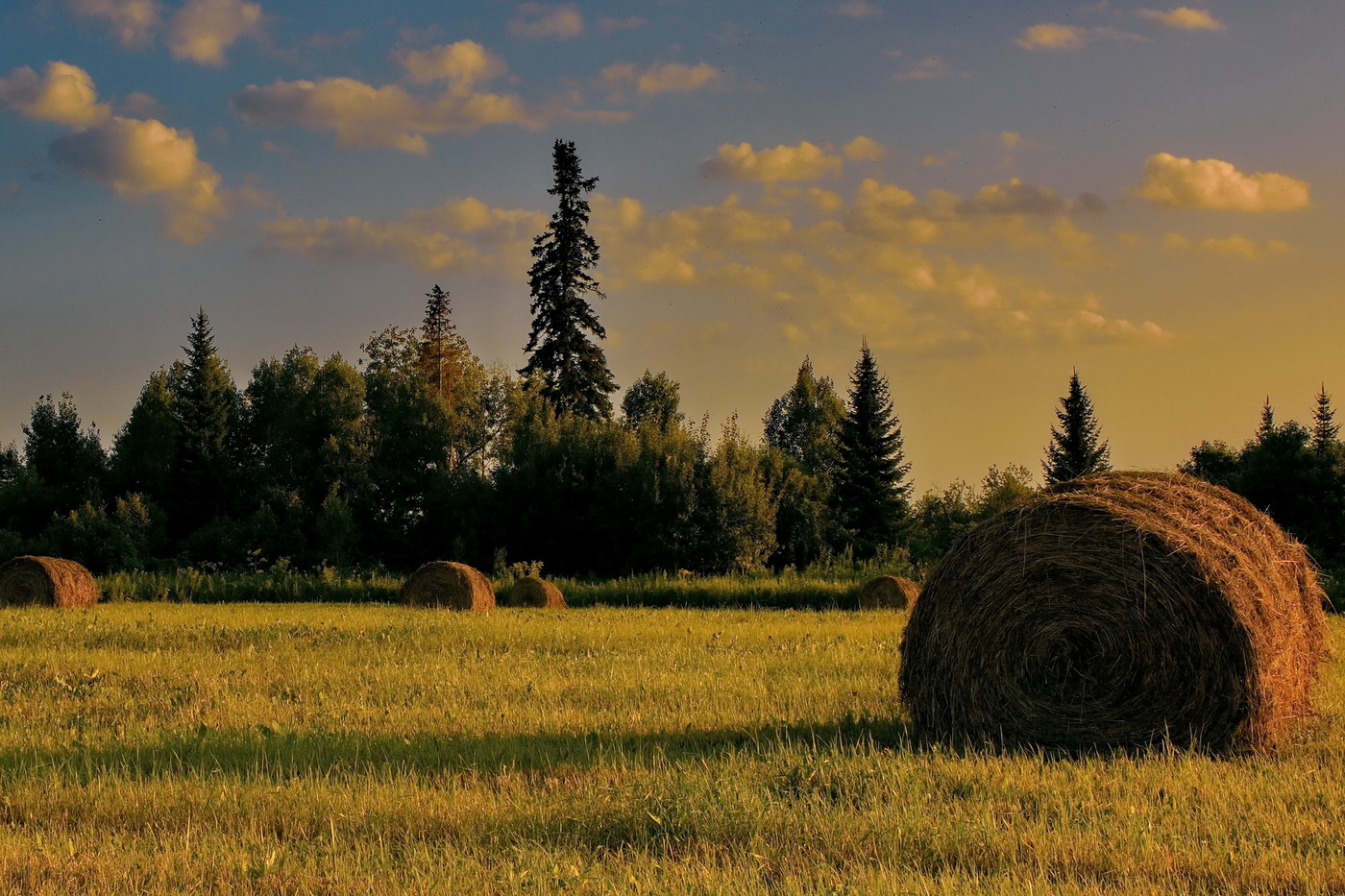 Тёплый вечер.