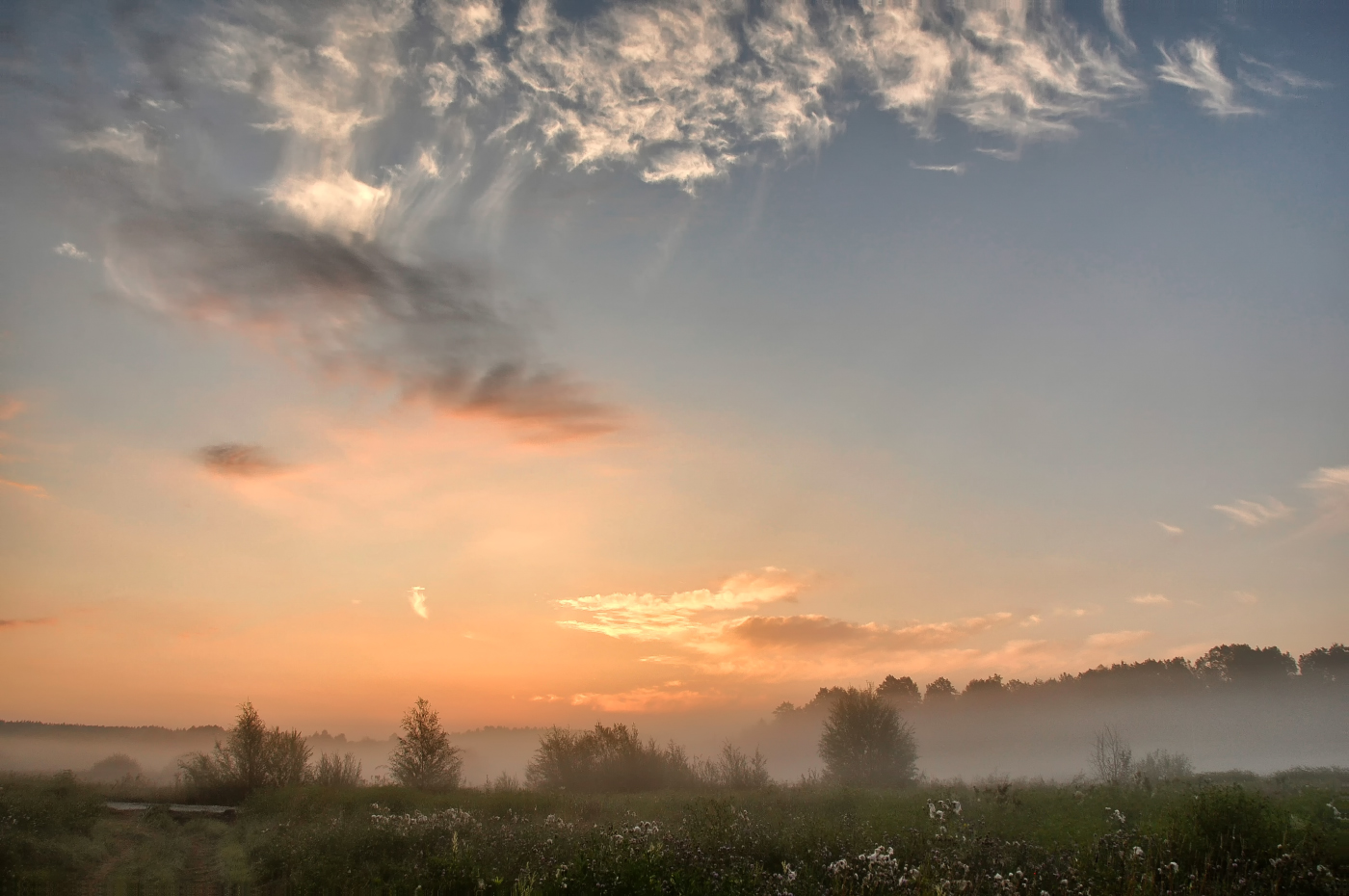 Расстелил туман пути - дорожки...