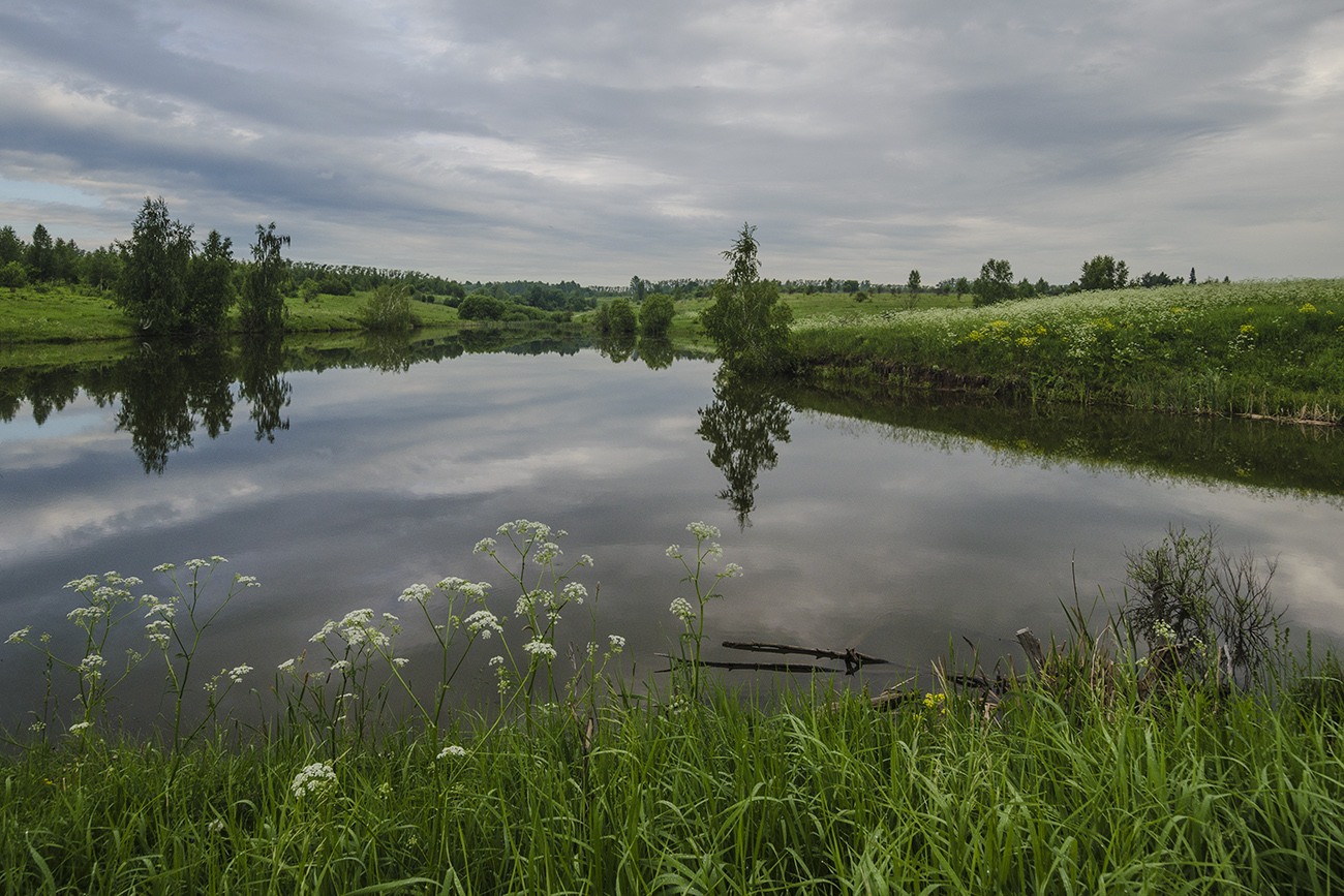 Летние берега