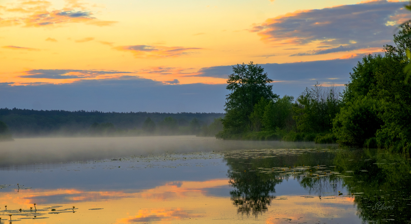 Из-за леса туча