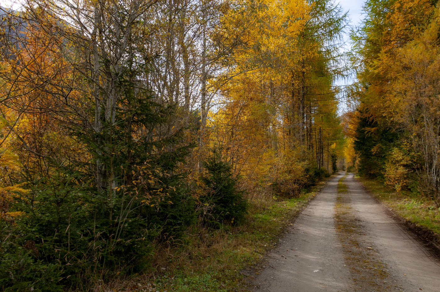Осенняя зарисовка
