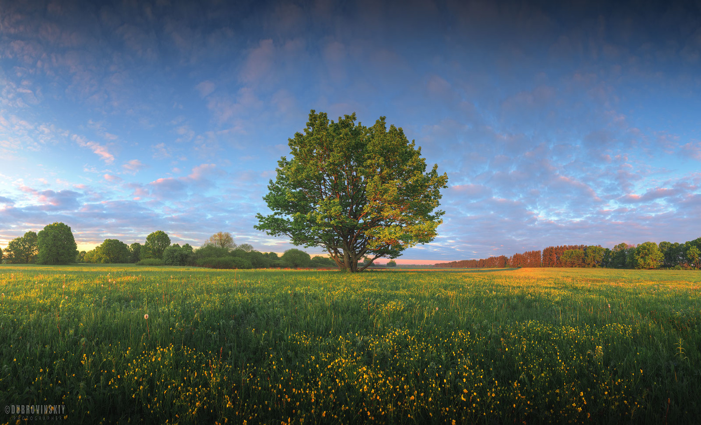 Весенняя акварель