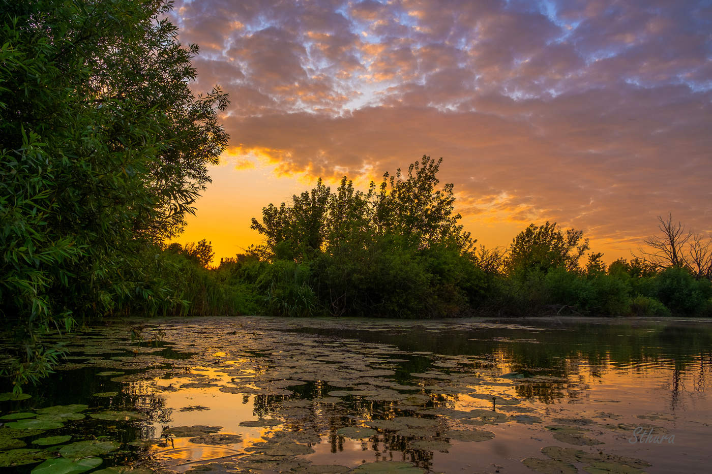 Летние рассветы.
