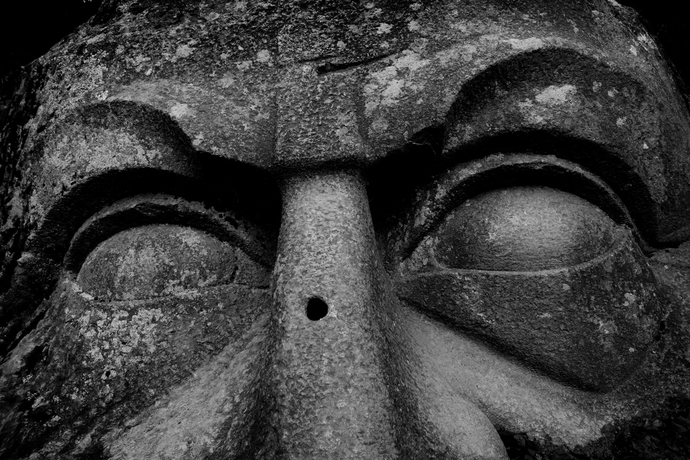 Там чудеса: там леший бродит...- 3