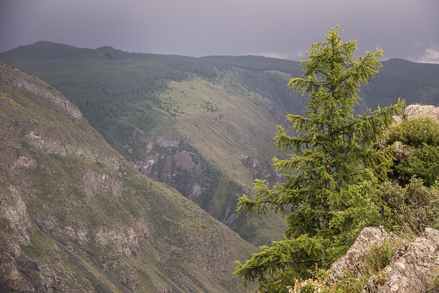 Где-то в горах