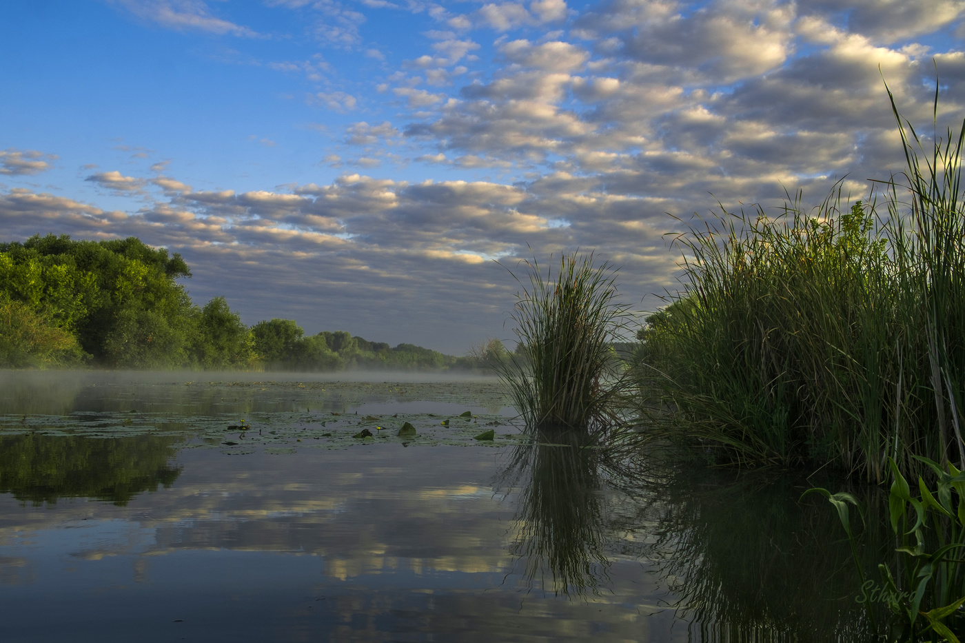 Утренний пейзаж.