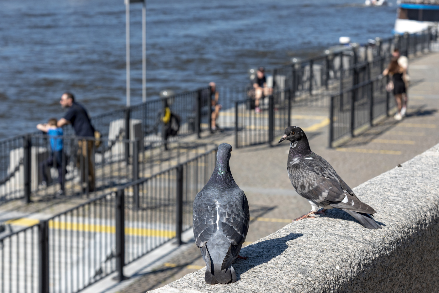 Старожилы Нескучного сада