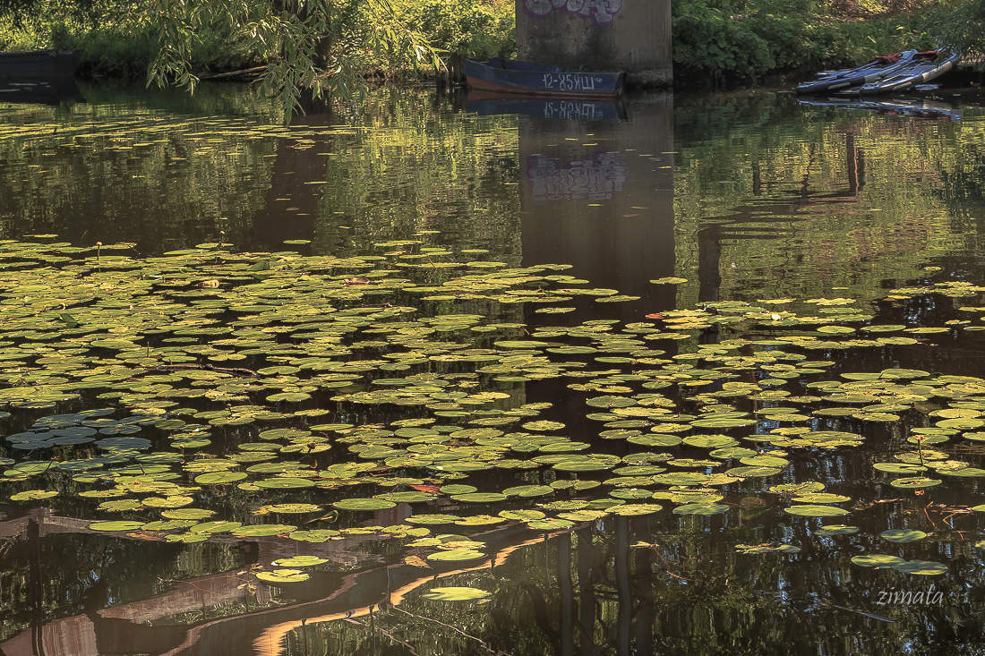 водная гладь
