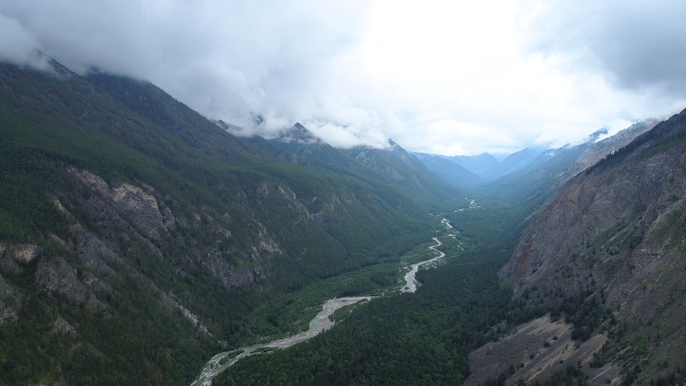 Хмурое утро