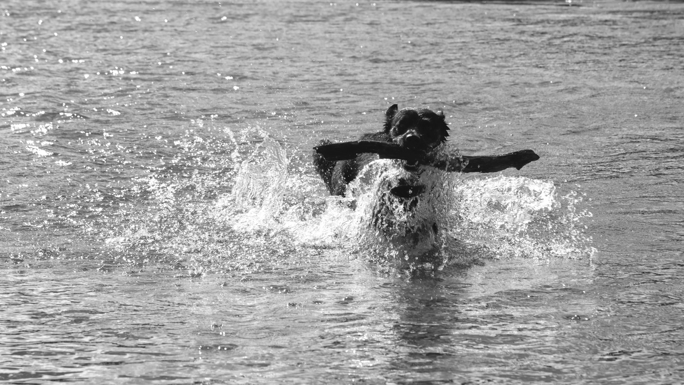 Жизнь вокруг