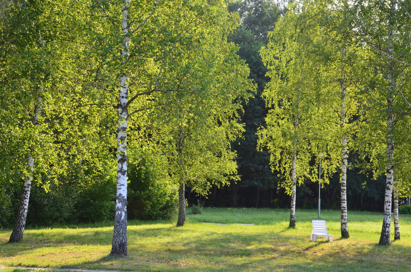 Отдых на природе