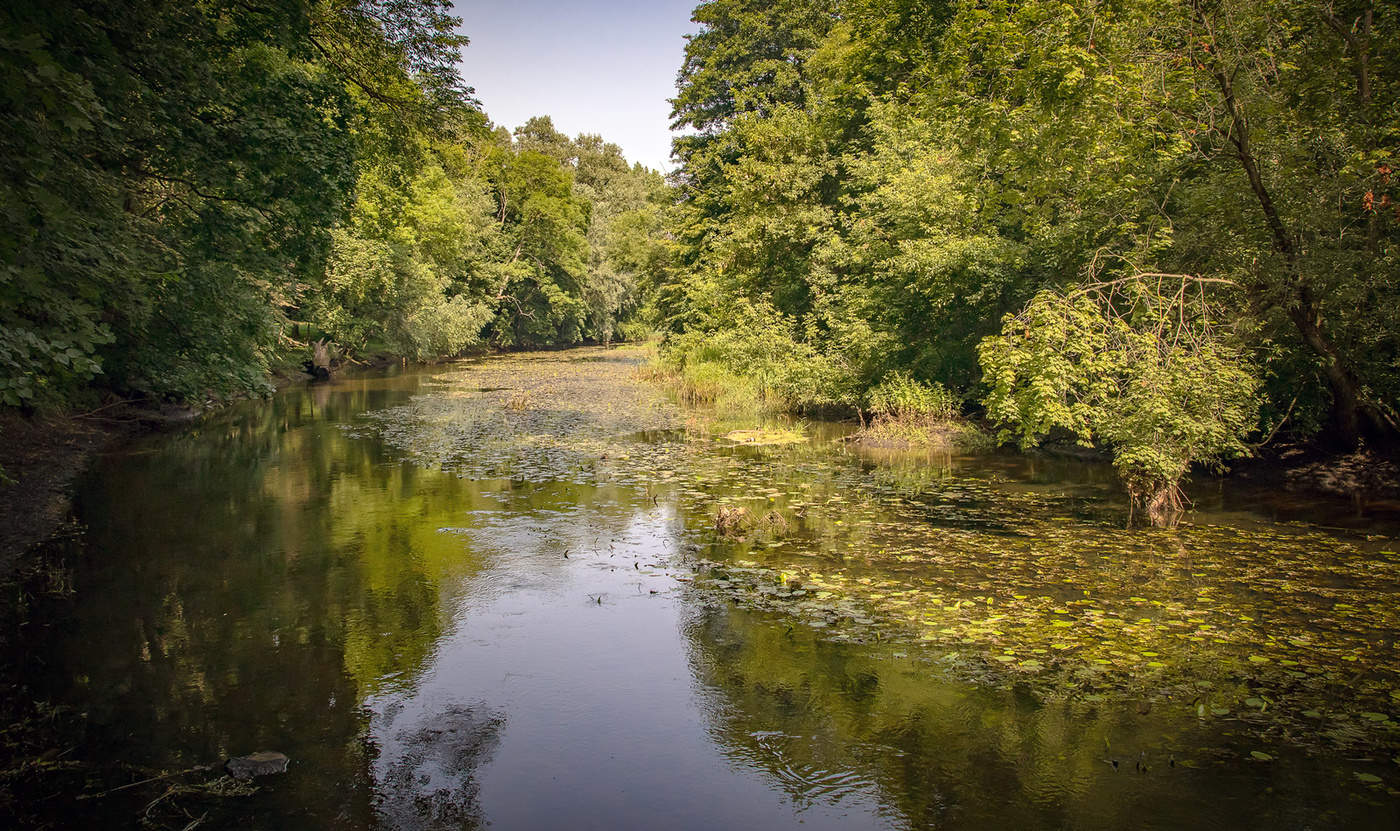 На реке Добосна