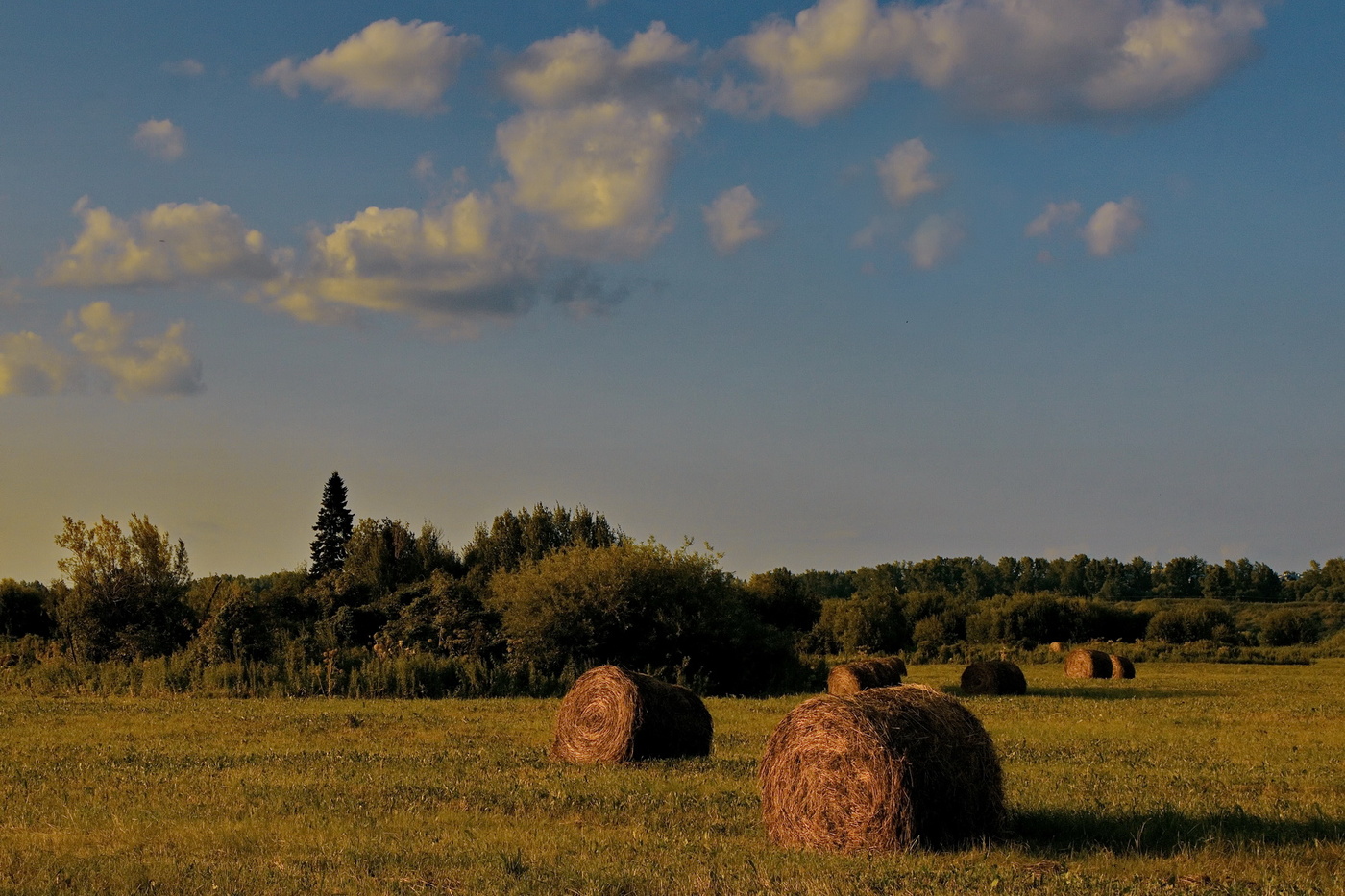 *Летний вечер.**