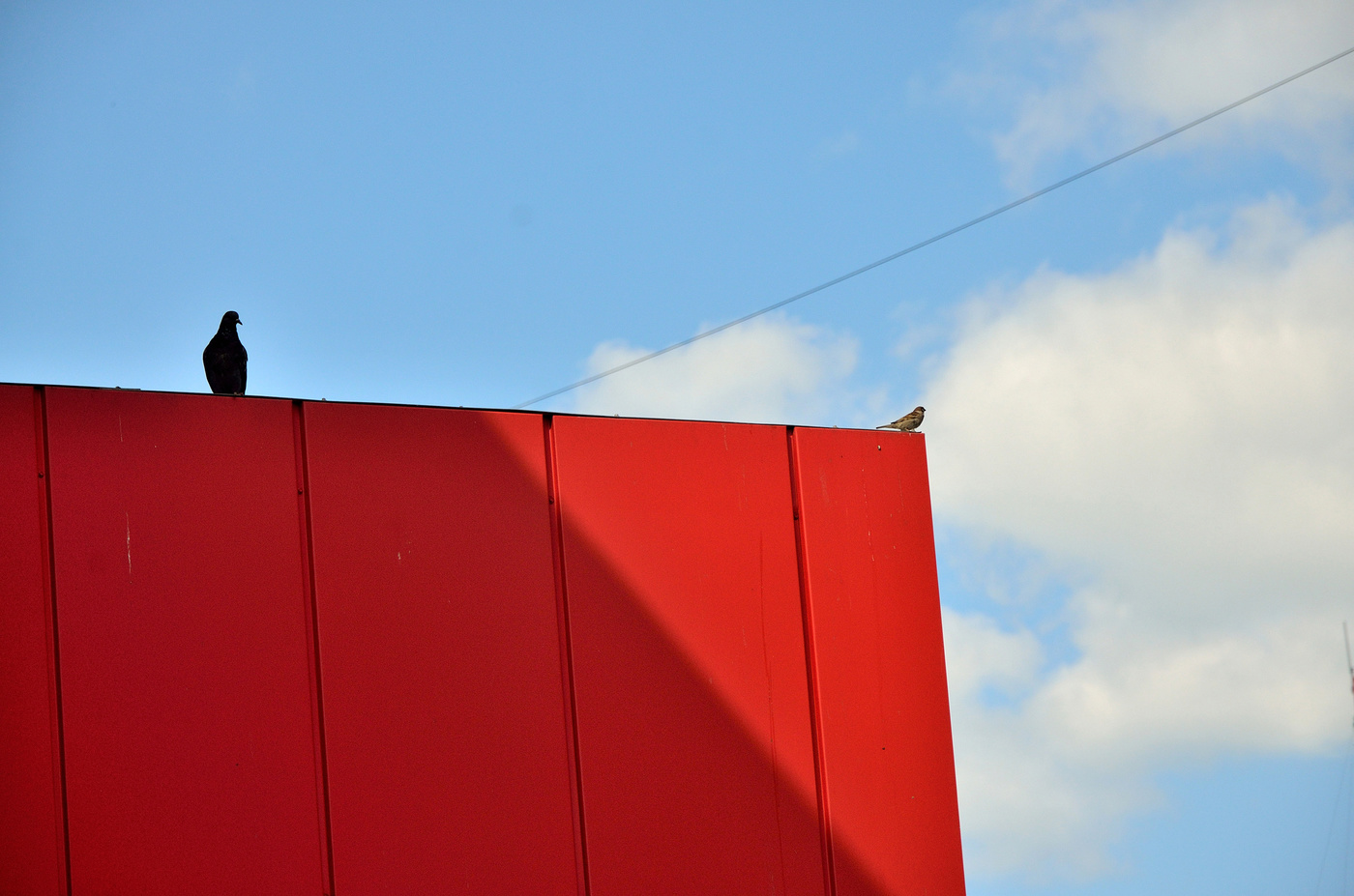 Наблюдатели