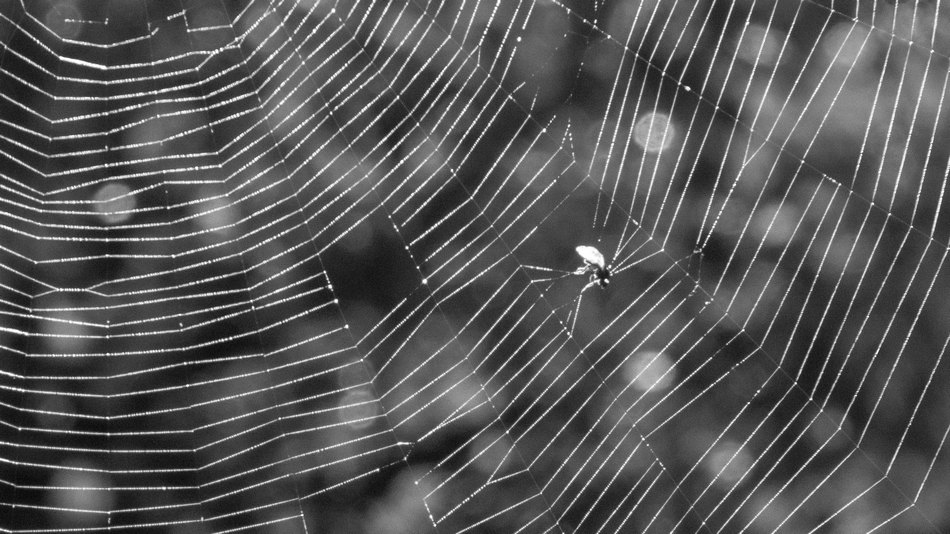 Жизнь вокруг