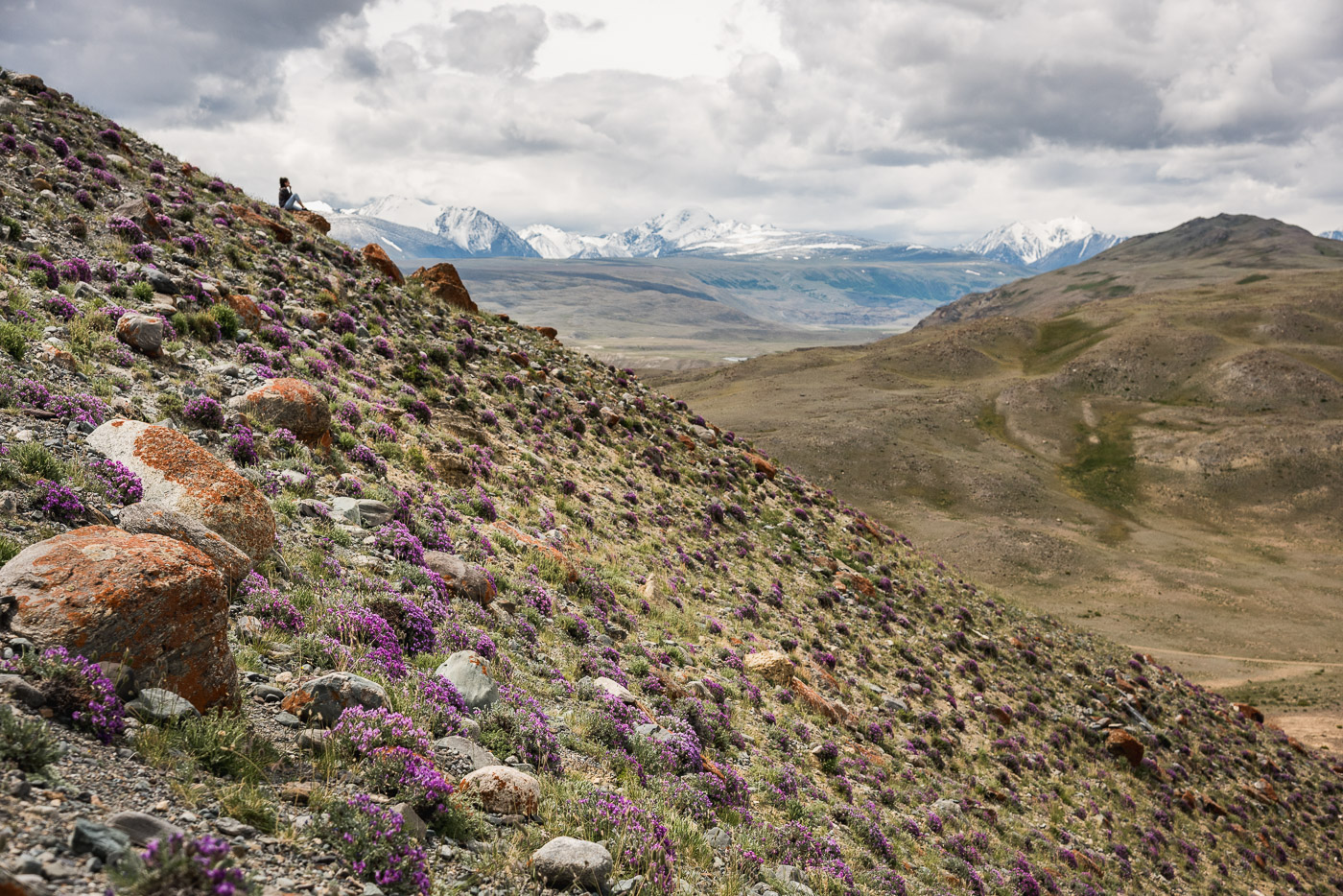 Наедине с горами