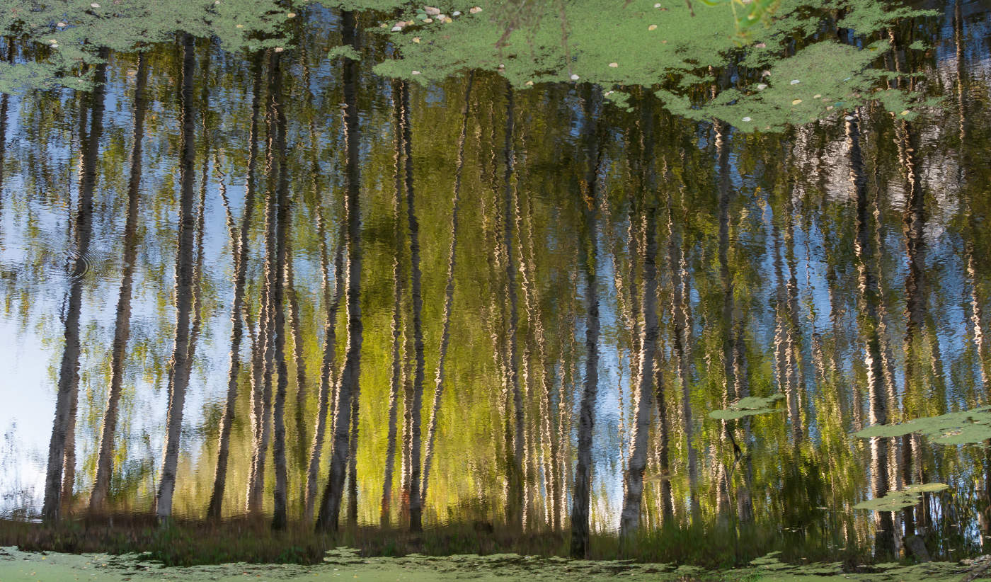 Танцующие на берегу. Акварели отражений.