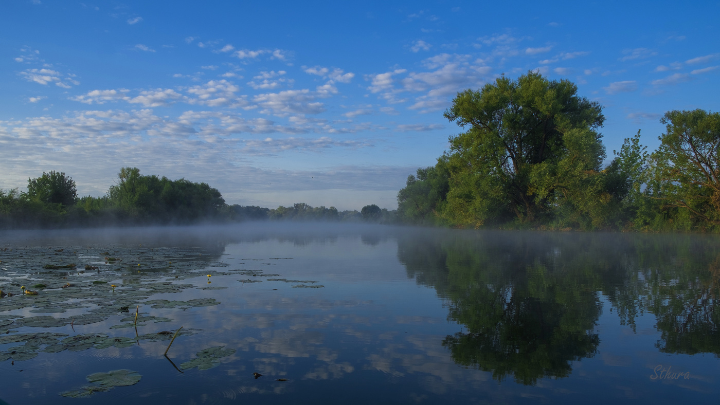 Утро на озере.