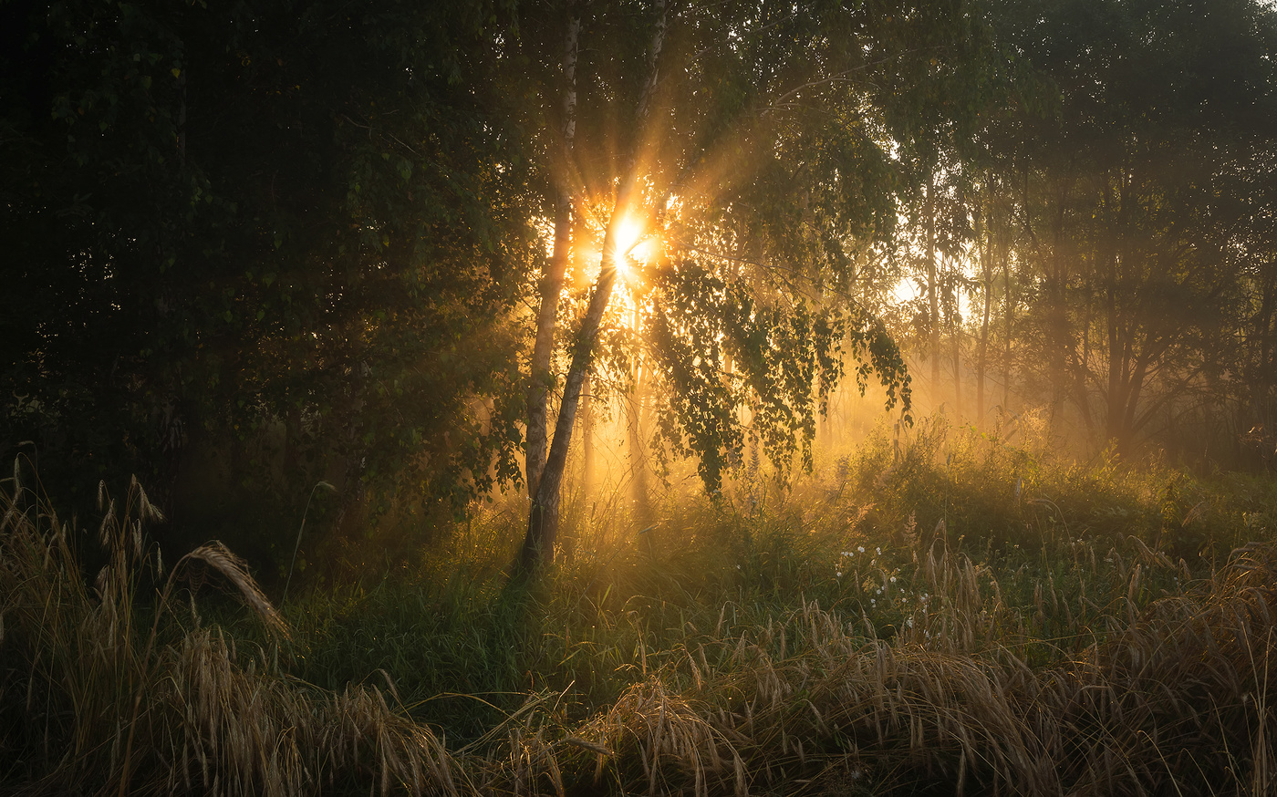 Время рассвета