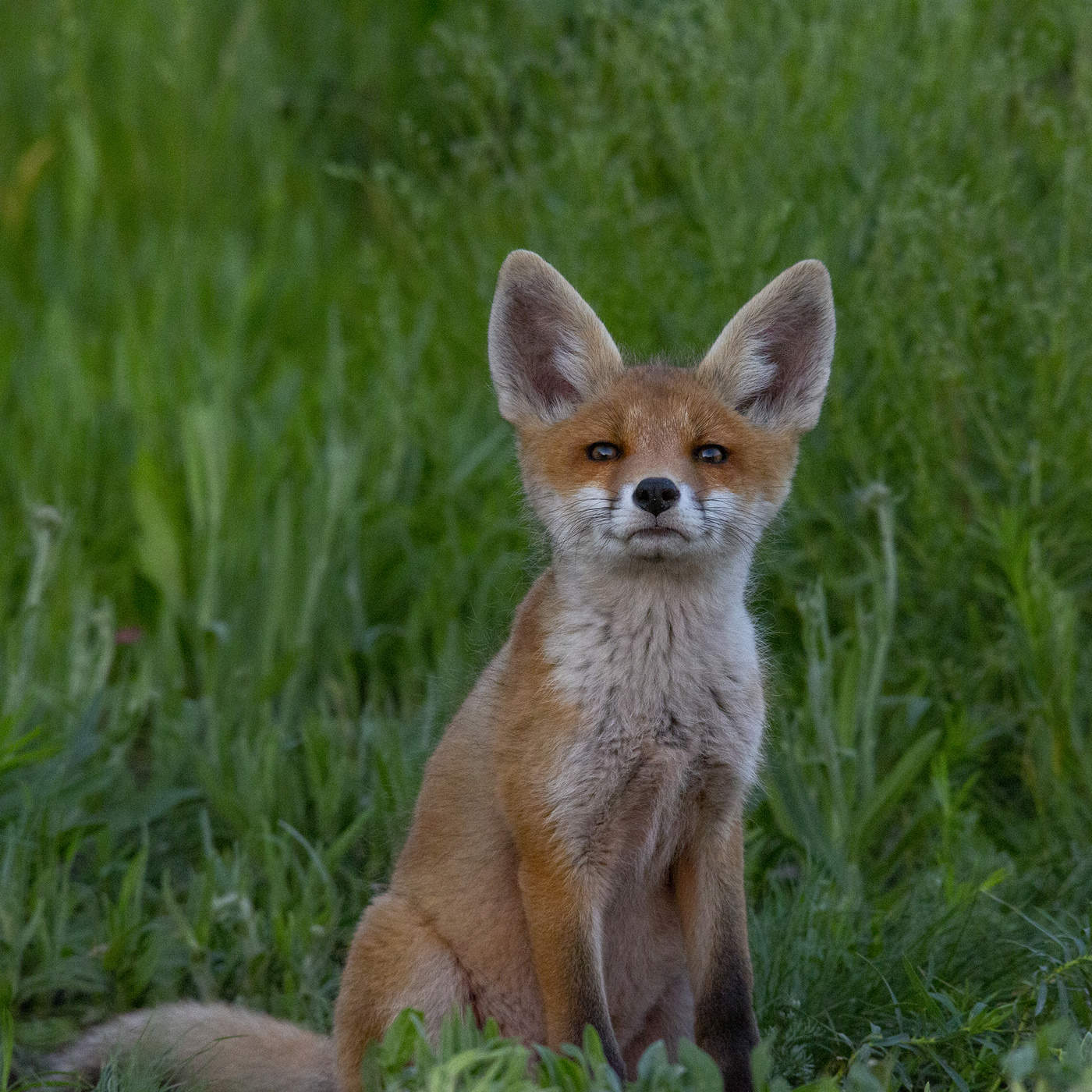 на документ