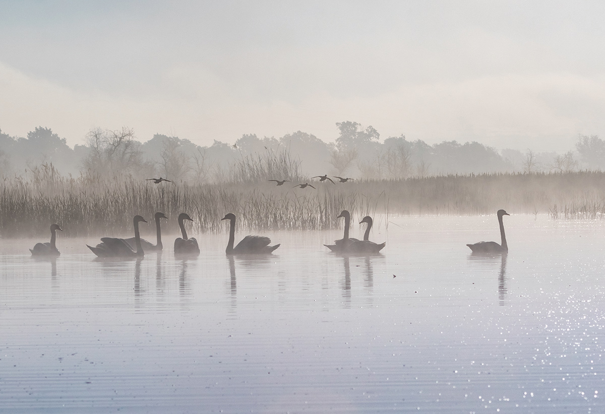 В укромном уголке природы