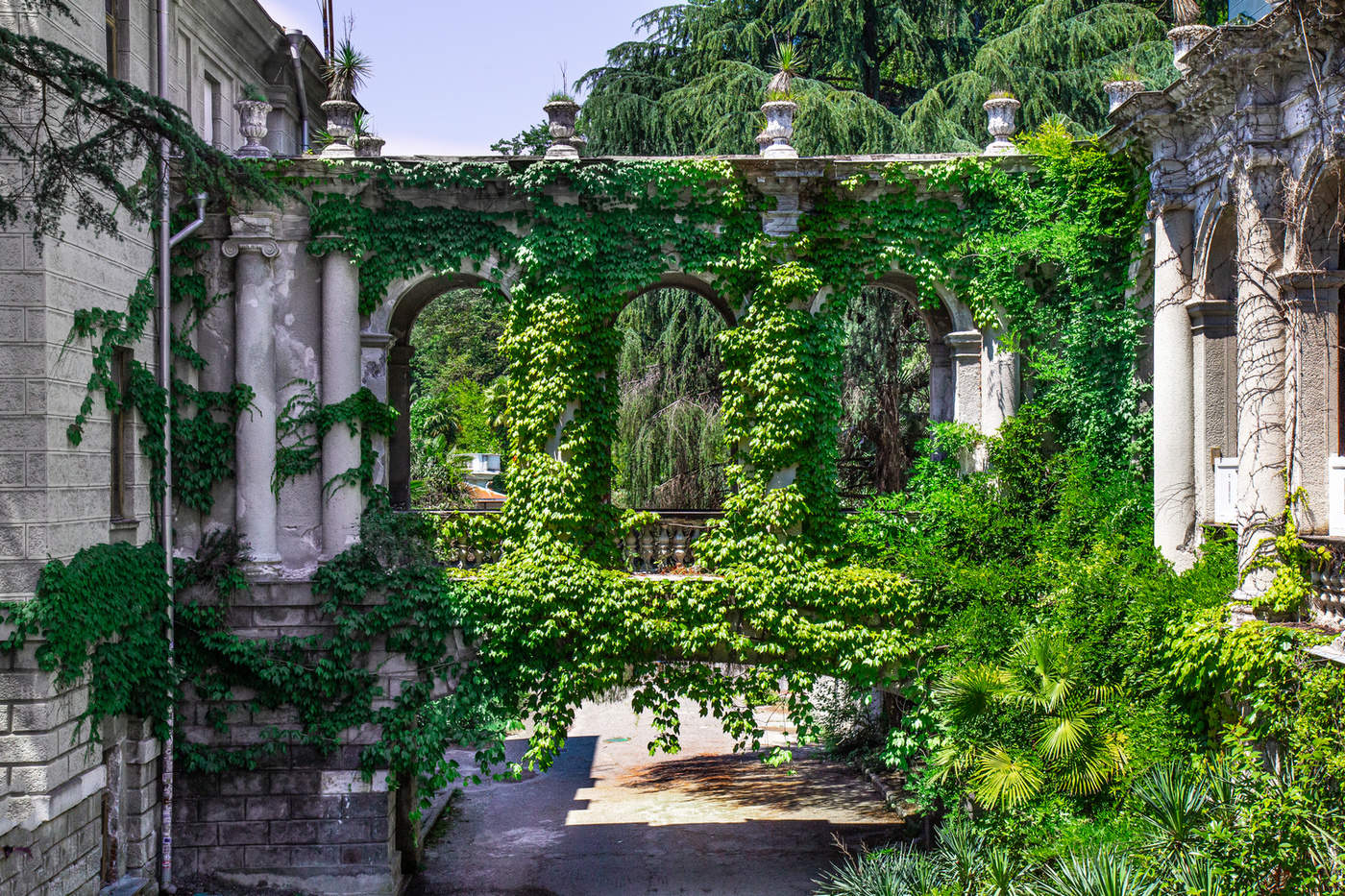 Растения наступают.