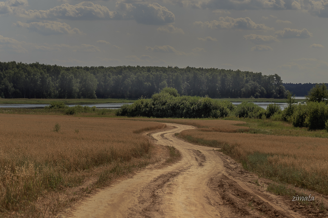 Дорога змейкой