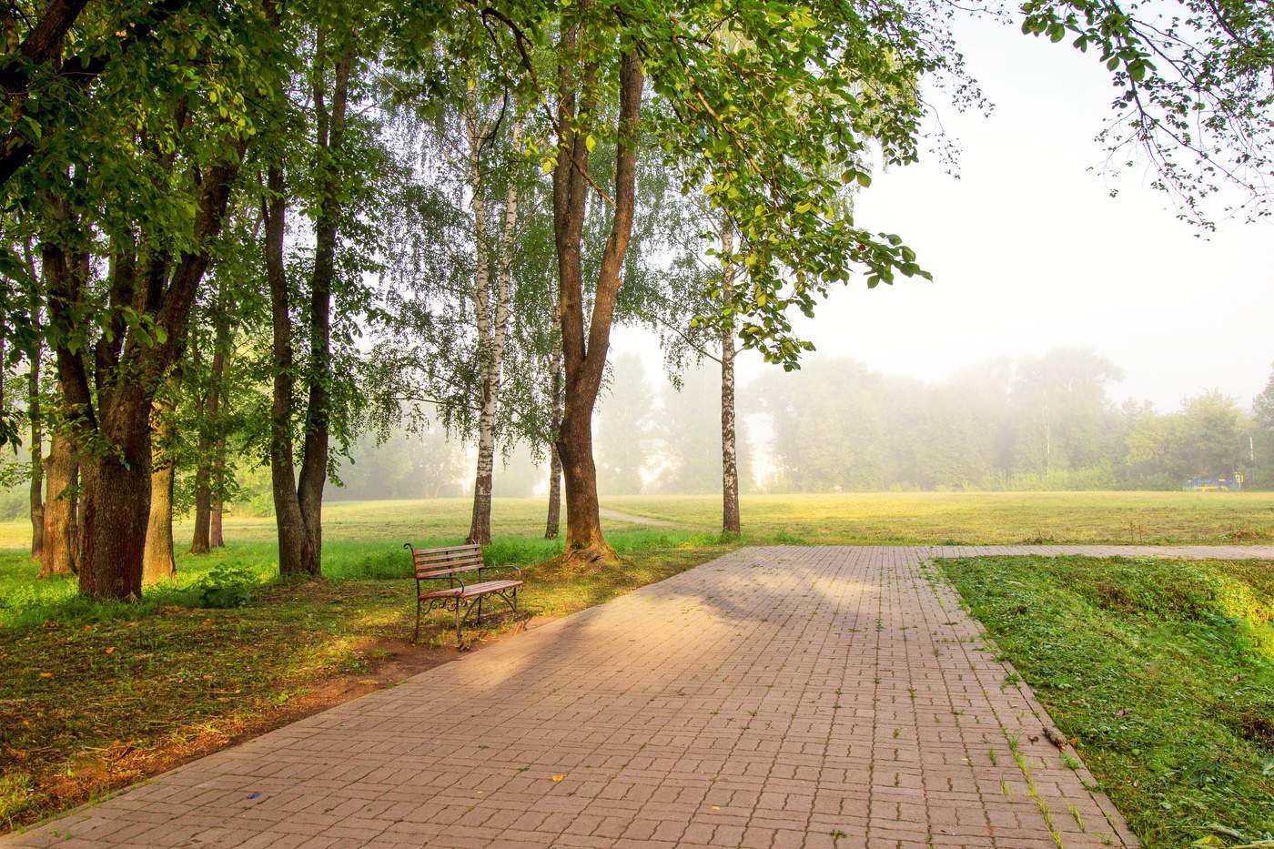 Утро в парке