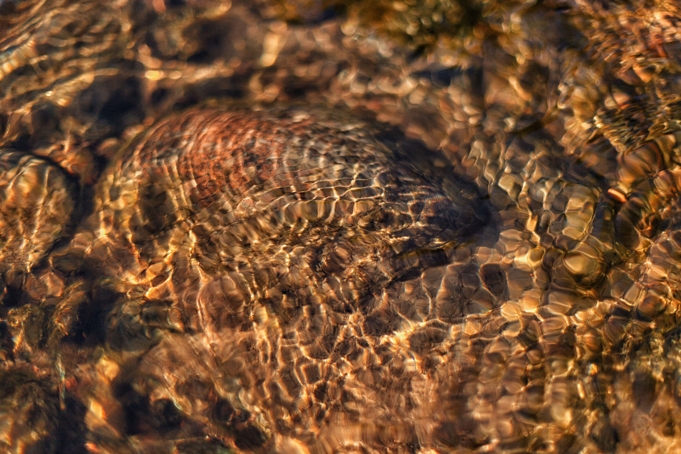 Жизнь вокруг