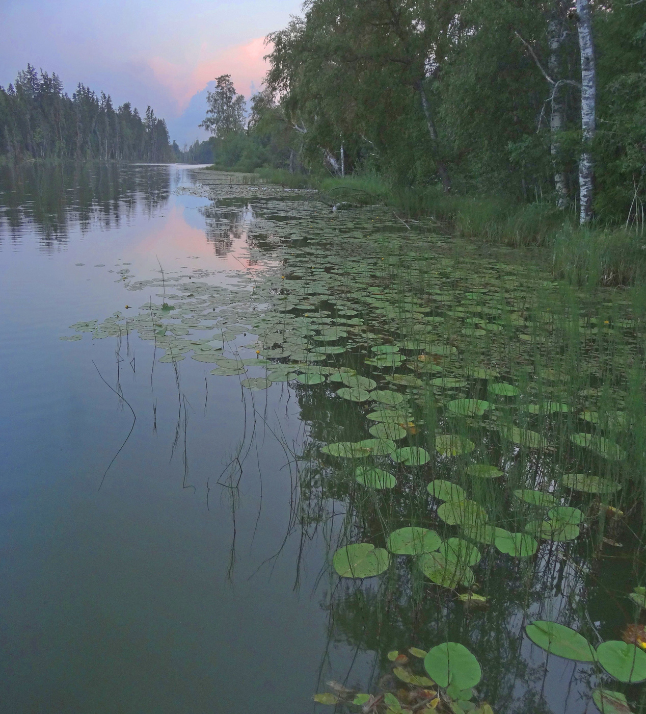 Вечернее затишье