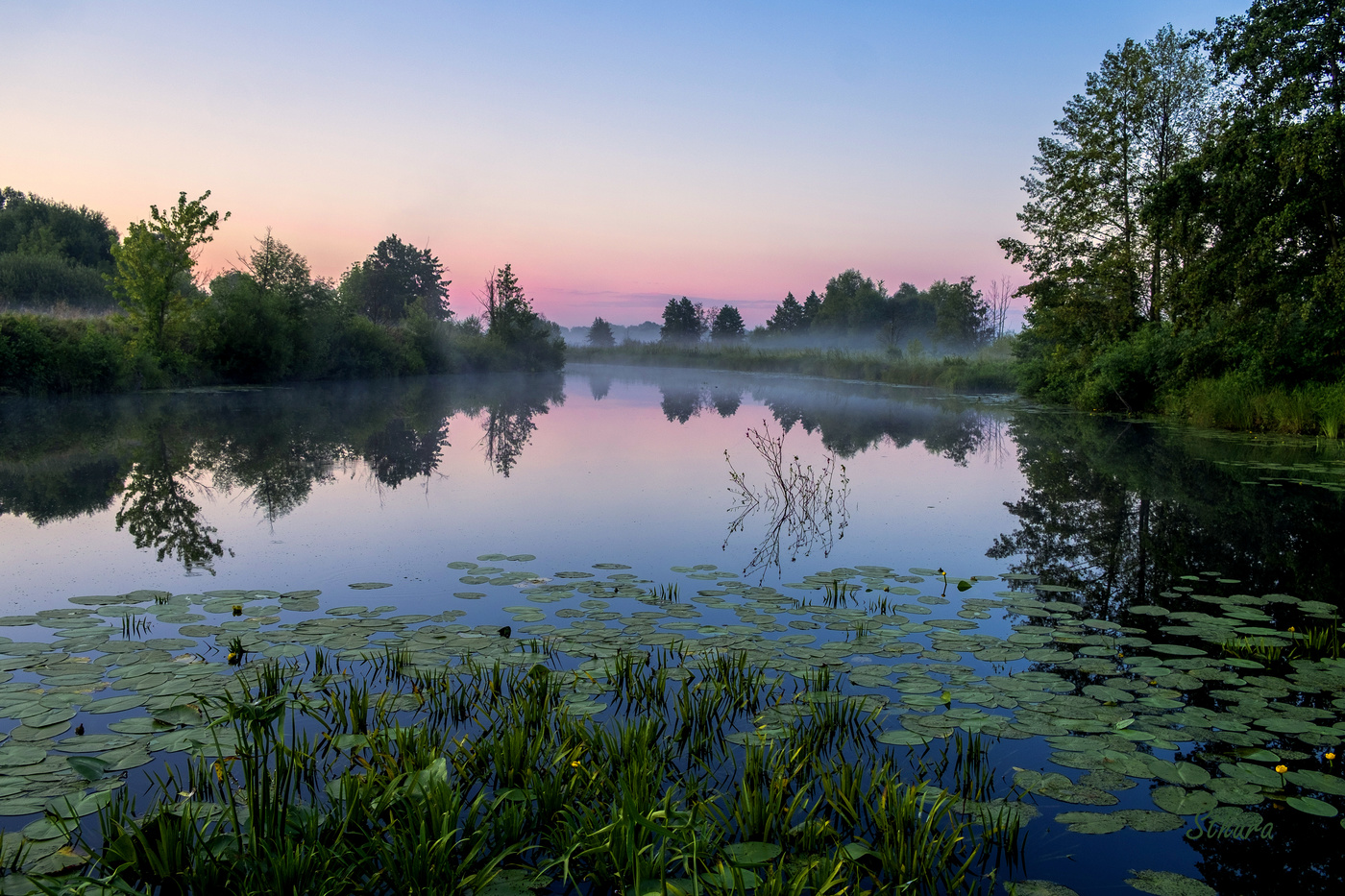 Рано утром.